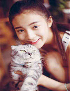 保罗2011