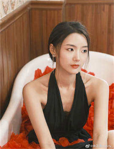 掌门女婿演员