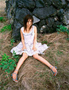 掌门女婿全集在线观看